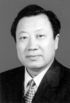 胃痞汤