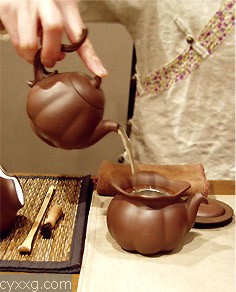 健康指南：喝茶应以温淡茶为最佳
