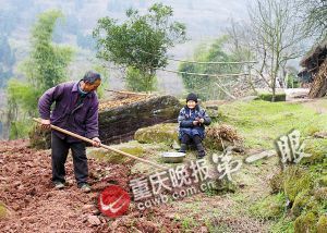 老妻少夫签合同约定终身 已恩爱相伴24年
