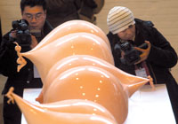 前卫雕塑以巨型乳房为题材遭破坏
