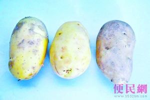 老土豆浸泡化学液变身新土豆