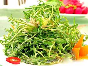 春天了 不妨多吃点野菜