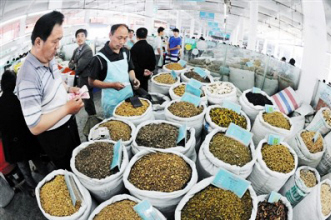 中药材价格持续低迷