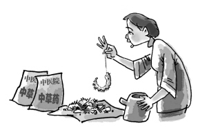 长虫中药咋能吃