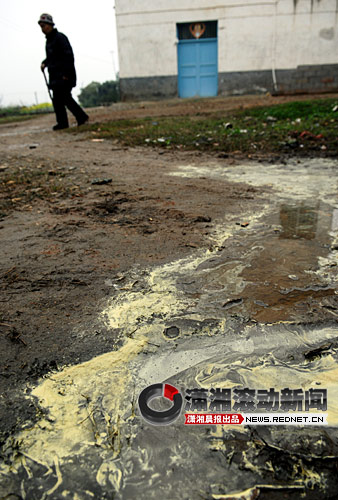 湖南浏阳降下“黄金雨” 初步认定花粉所致