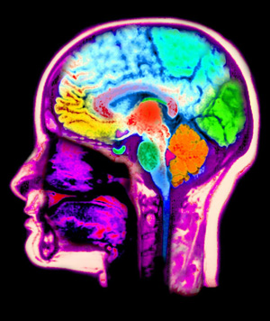 美国科学家解密“人心” 电脑有望重现梦境