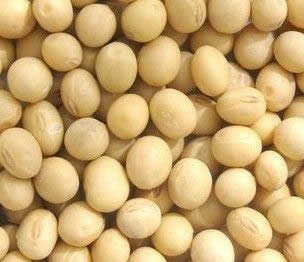 盘点最“养”男人的10种食物