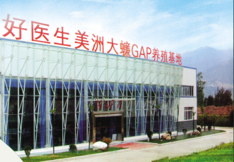 美洲大蠊GAP养殖基地建成