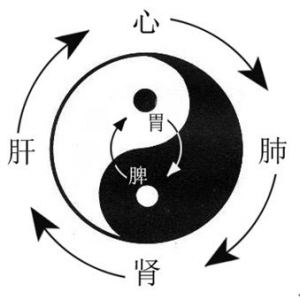认识气机圆转 升降法时