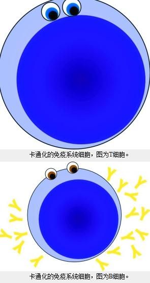 慢性炎症成因 破解人体“自残”之谜