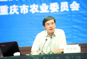 专家称食用催熟香蕉不会导致儿童性早熟