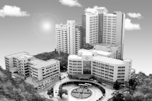 全力打造海西医学中心