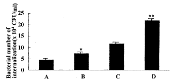 IFN-γ调节THP-1细胞应答沙门氏伤寒菌