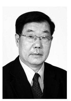蝉衣莱菔汤