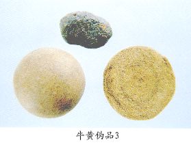 牛黄伪品（3）--牛羊草结（Niuyangcaojie）