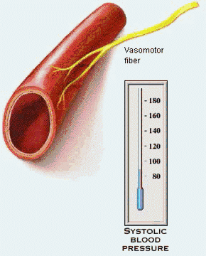 血压降的越快越好？NO！