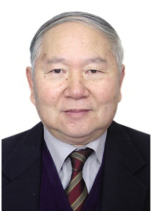 翁维良主要成就