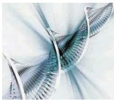 美科学家开发出单芯片基因合成新法