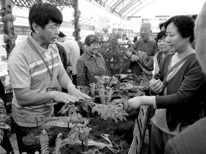北京启动中医药文化建设年活动