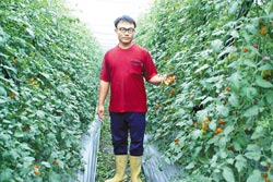 吸毒浪子出狱种番茄年收入上百万新台币