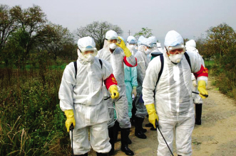 “拉尼娜”助虐禽流感