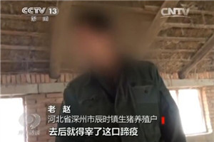 央视曝光金锣疑似流入病猪：检疫证明随便开