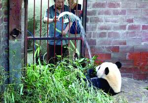 北京部分城区气温达40℃ 空调热销 就诊猛增
