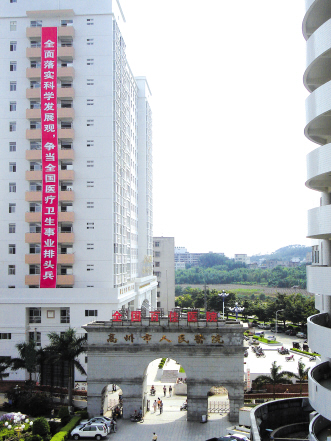 “高州模式”探析