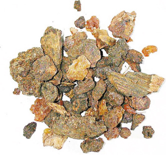 没药的传说