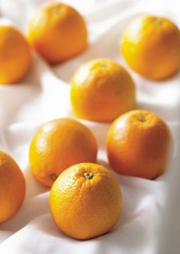营养师不外传的25种抗老食物