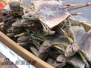 防癌神仙汤引争议 稀奇古怪食物盘点—干蜥蜴