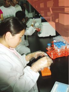 创新药着力点：毒代动力学研究——对新药非临床安全性研究评价的思考