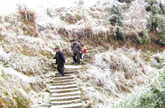 踏雪送药