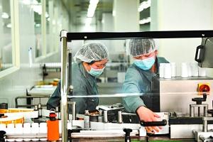 同仁堂中药炮制技艺计划申遗 保护老字号品牌