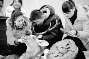 大学生辨识中药