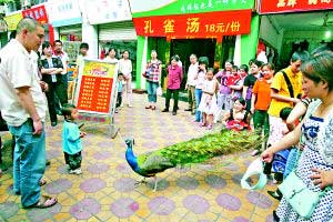 重庆一家餐馆当街叫卖孔雀肉菜肴