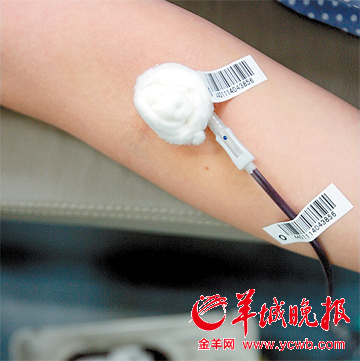 网友爆料称病人欲输血家属先献血 献血证无用
