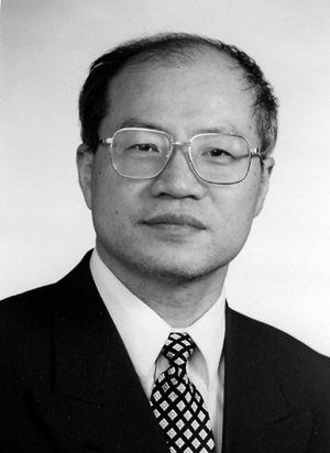通脉消斑汤