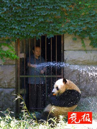 北京动物园投资100多万给动物避暑