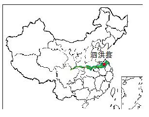 泗洪：卫生院的非典型发展之路