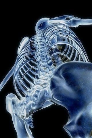 医学3D透视下的人体奇观