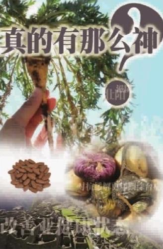 “壮阳神药”只是传说 玛卡乱象丛身价格差10倍