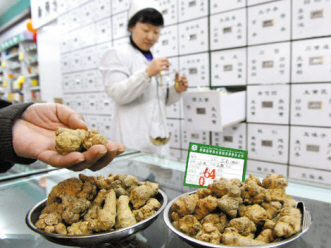 大量新货上市 三七价格暴跌13%