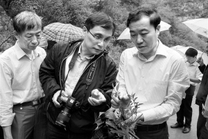 中药资源普查专家到村头