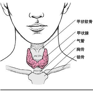 军医答疑：甲状腺结节二十三问