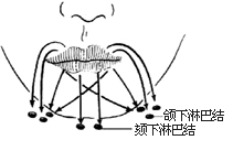 唇癌V形切除术