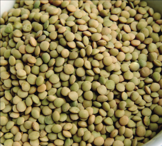 药食两用说扁豆