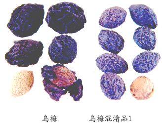 乌梅（Wumei）Fructus Mume