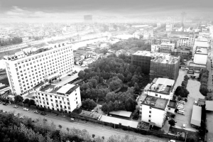后发先至的跨越——江西省上饶市第五人民医院（上饶市肿瘤医院）8年改制启示录