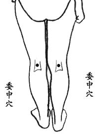权威中医解读穴位治病 夏季养生关注4个穴位